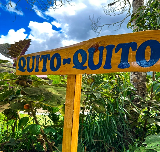 2Huerto.webp