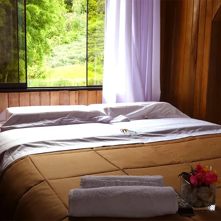 Habitación con ventanales que ofrecen una hermosa vista a la naturaleza circundante, creando un ambiente tranquilo y relajante para tu estadía.