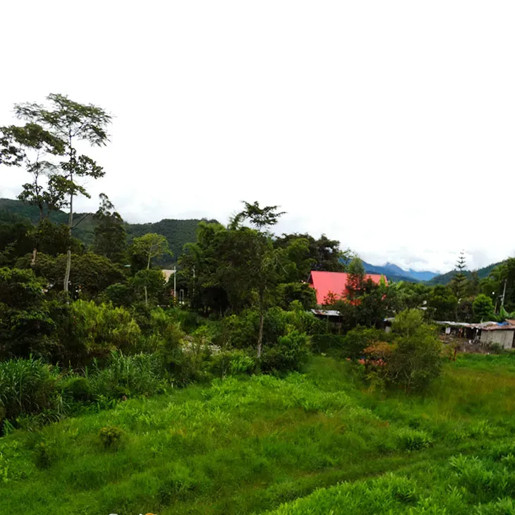 Una vista encantadora hacia el comedor del lodge, donde los huéspedes pueden disfrutar de deliciosas comidas rodeados de un ambiente acogedor.