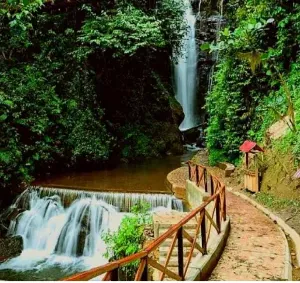 Explora la maravilla natural de la Catarata del Río Tigre en Alpinas. Un paraíso para los amantes de la naturaleza y las cataratas.