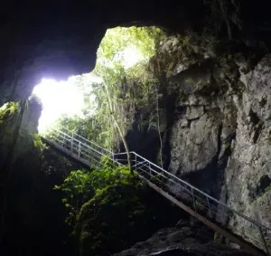 Aventúrate en la exploración subterránea de la Cueva Tunki en Oxapampa. Un lugar donde la naturaleza revela sus secretos.