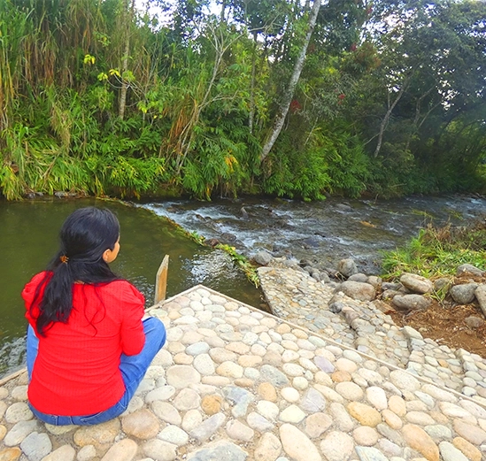 En Alpinas, encontrarás un retiro de tranquilidad en Oxapampa. La belleza natural te invita a sumergirte en la relajación.