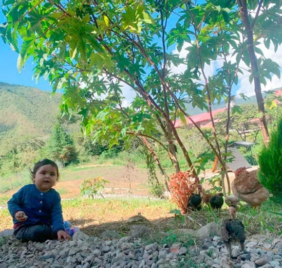 Experiencia interactiva en Alpinas: alimenta a nuestros conejitos y gallinas. Una actividad que conecta a los niños con la naturaleza.