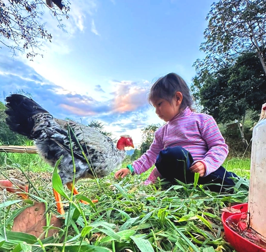 Niños felices alimentando a los animales en Alpinas Hoteles Cabañas. Una experiencia que fomenta el amor por la naturaleza.